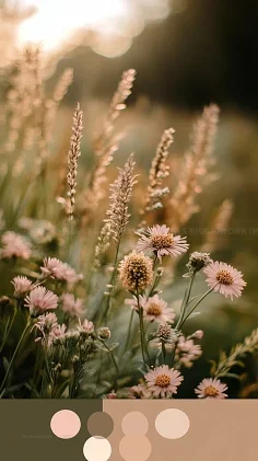 

4pcs RC Wheel & Tire Set (17mm Hex) for ARRMA 1/7 Felony 6S BLX FSR RC Car Upgrade Part Road Racing Wheel & Tire Replacement Kit