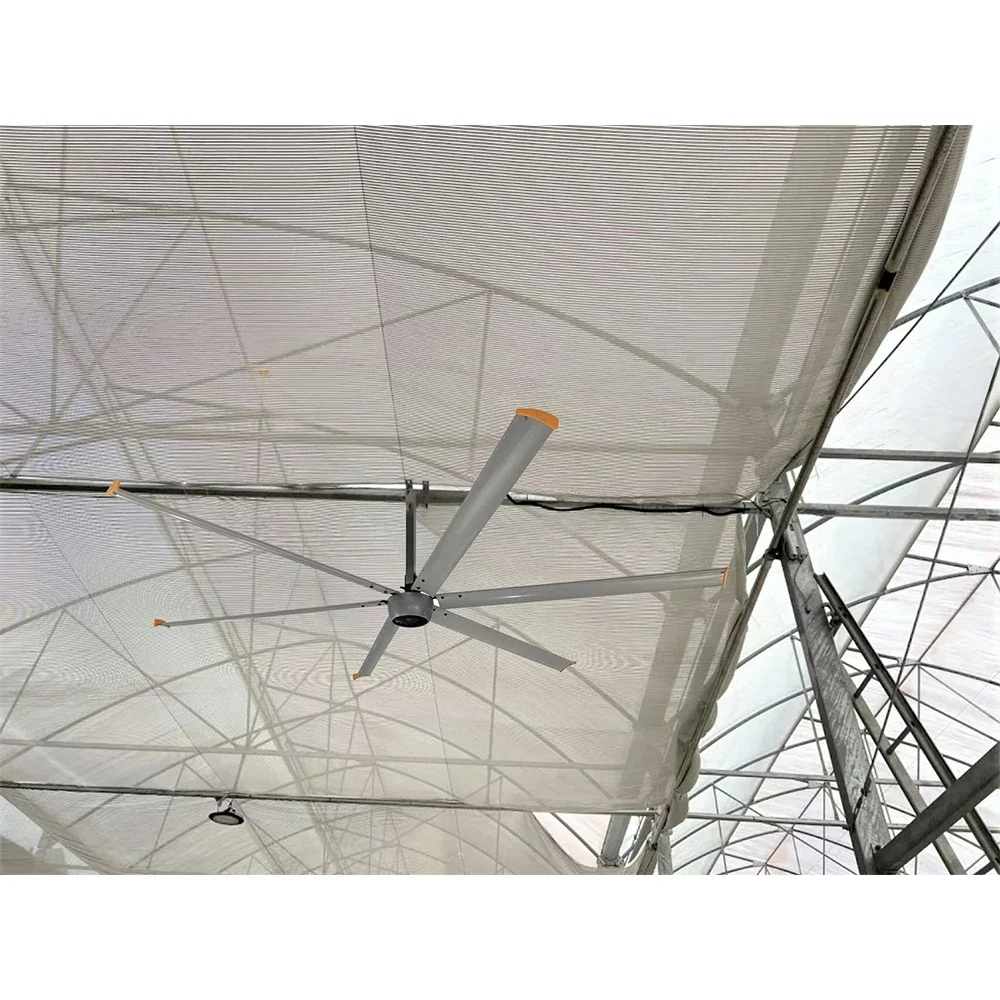 12ft 24ft 14ft hvls cooling 1500W PMSM motor industrial large ceiling hvls fan for vietnam