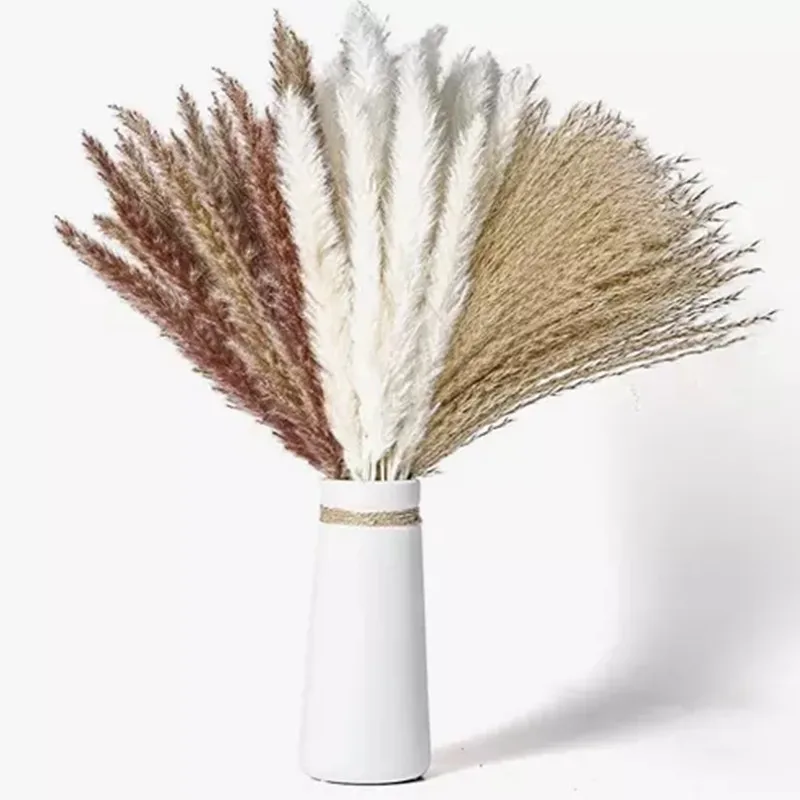 

80pcs Natural Dry Pampa Grass Arrangement Decoration Fluffy Phragmites Boho Home Style Bouquet Wedding Decor Cadeau Mariage