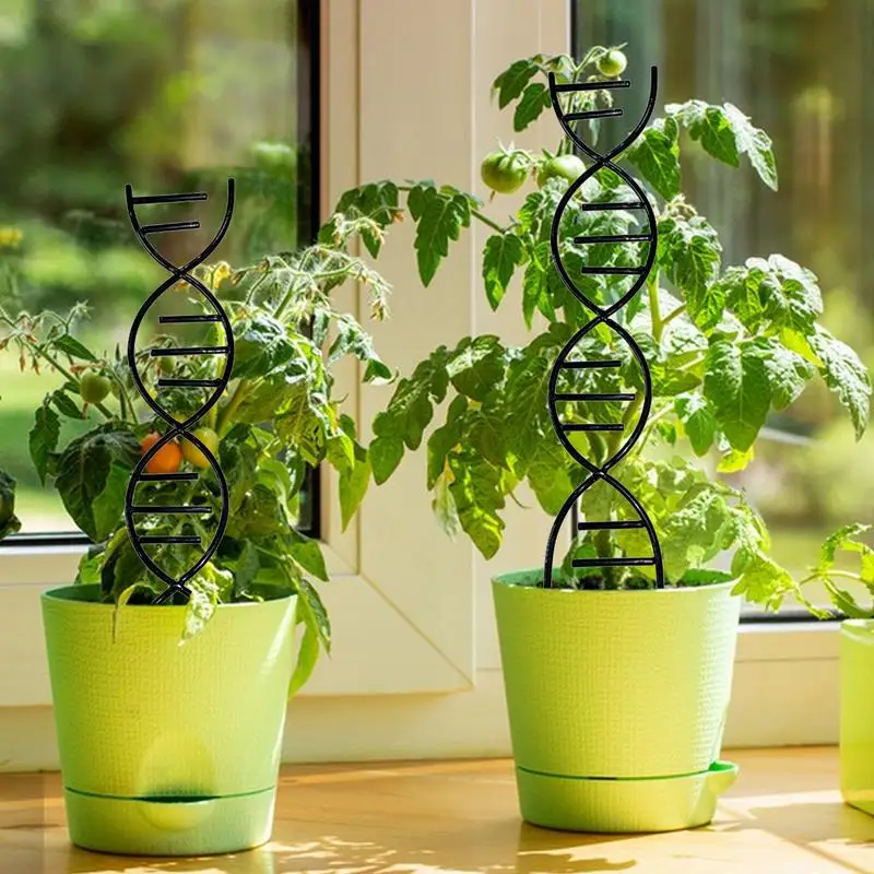 Indoor Plant Support Trellis, Plantas em vasos, Jardim De Metal, Vasos De Flores, Suporta DIY Escalada