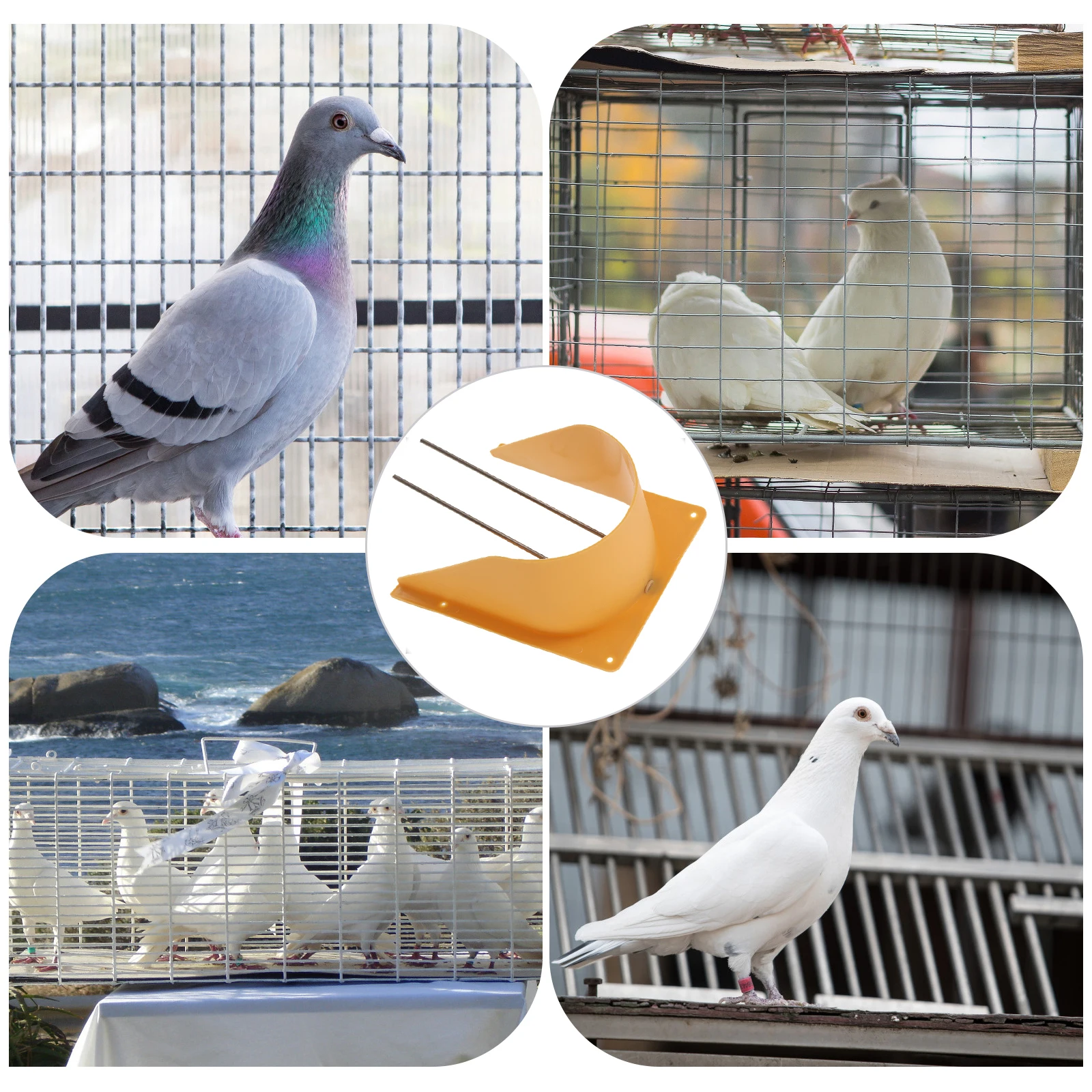 

2 Pcs Entrance Door into The Cage Pet Bird Accessories Pigeon Travel Racing Trap