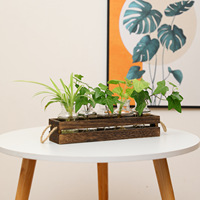 Hydroponics Wooden frame vase Water raised plants Flowers Dried flower container