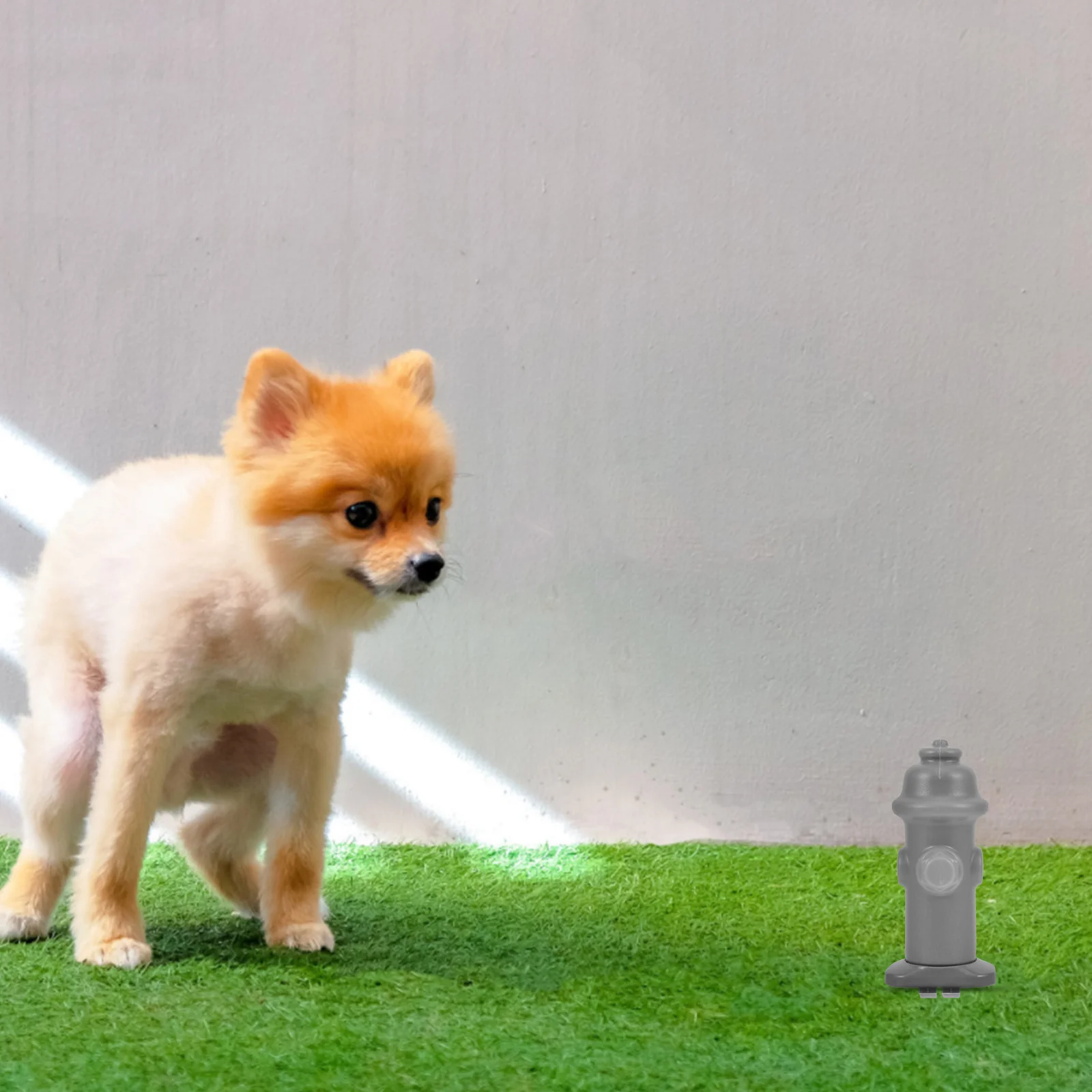 

Plastic Dog Potty Urine Post Indoor Pet Toilet Training Aid Portable Puppy Urination Guide Column for Home Use