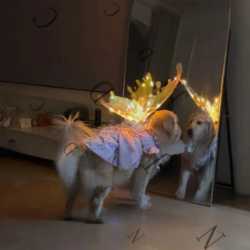 Dog Birthday Wedding Dress Up With Music Dynamic Wings Pet Accessories