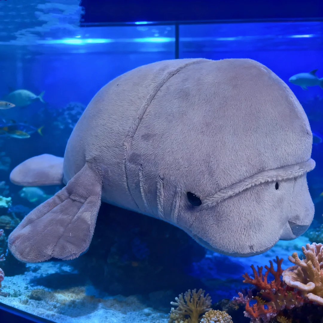 34 سنتيمتر/50 سنتيمتر كاواي مورغان خروف البحر ألعاب من نسيج مخملي لطيف المحيط مخلوق هدية الاطفال وعشاق الحياة البحرية عناق خروف البحر هدية الكريسماس