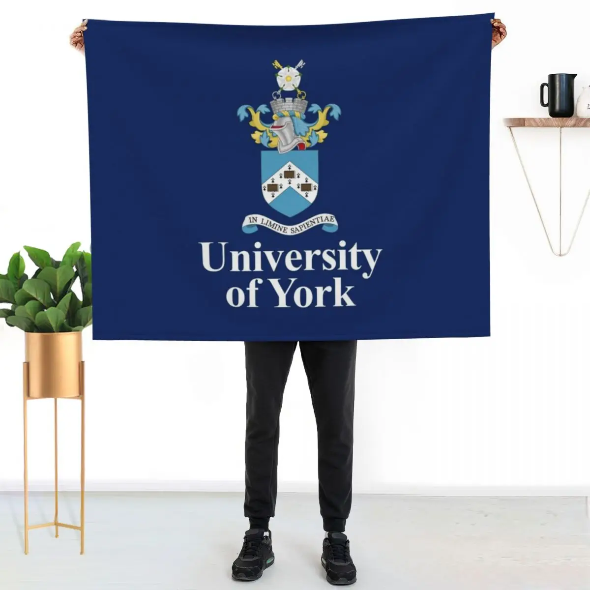 

University of York Throw Blanket Soft Plush Blanket as Housewarming Gift
