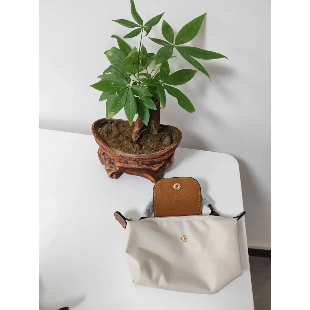1 set of high quality LC waterproof nylon shoulder bag for women, fashion detachable handbag, mini bag 20*5*11cm