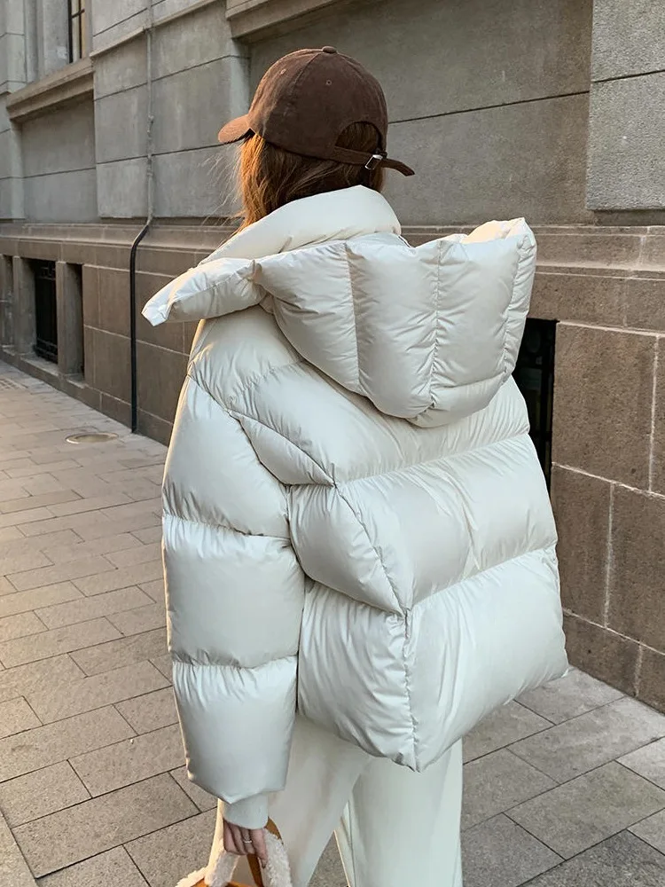 Hooded Women Parkas Overcoat Short Coat Solid Long Sleeve Zipper Turn Down Collar Straight Thick Office Lady Casual Winter 2025