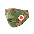 JSDF Camouflage