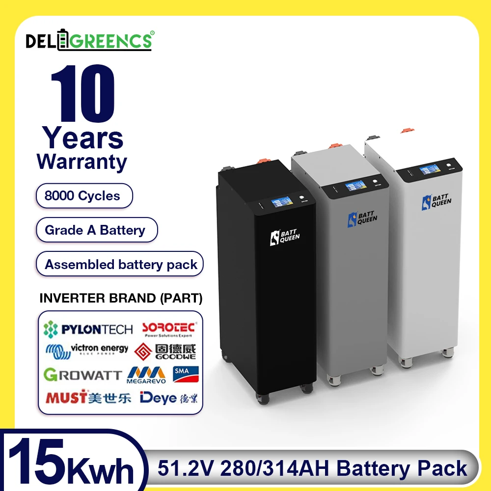 

New Seplos4.0 Pre-assembled 51.2V 15Kwh LiFePO4 Battery Pack Akku MB31 16S 200A BMS 8000 Cycle CAN RS485 Excluding Shipping Cost