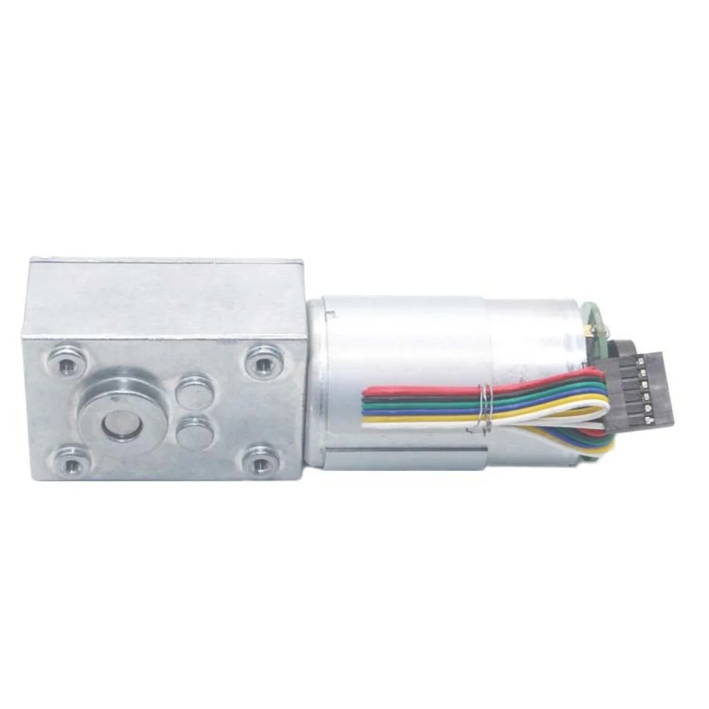 5840 555 DC Worm Gear Motor 12V 24V High Torque Self Locking Turbo Worm Encoder Gear Motor Reducer Forward Backward Gearbox