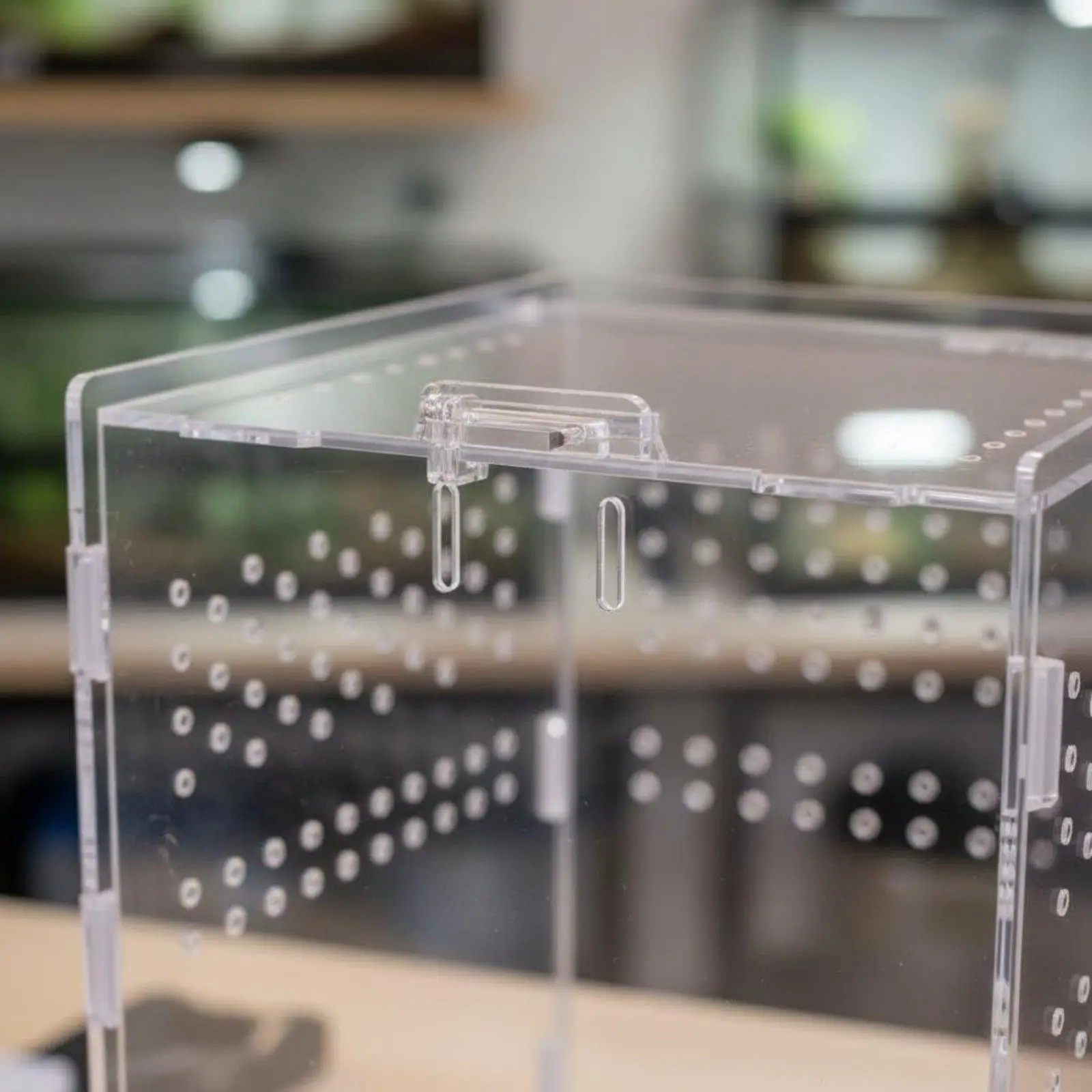 Acrylic Reptile Terrarium 360 Degree View Transparent Arboreal Enclosure High Clearness Arachnid Breeding Box