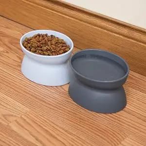 cat bowl