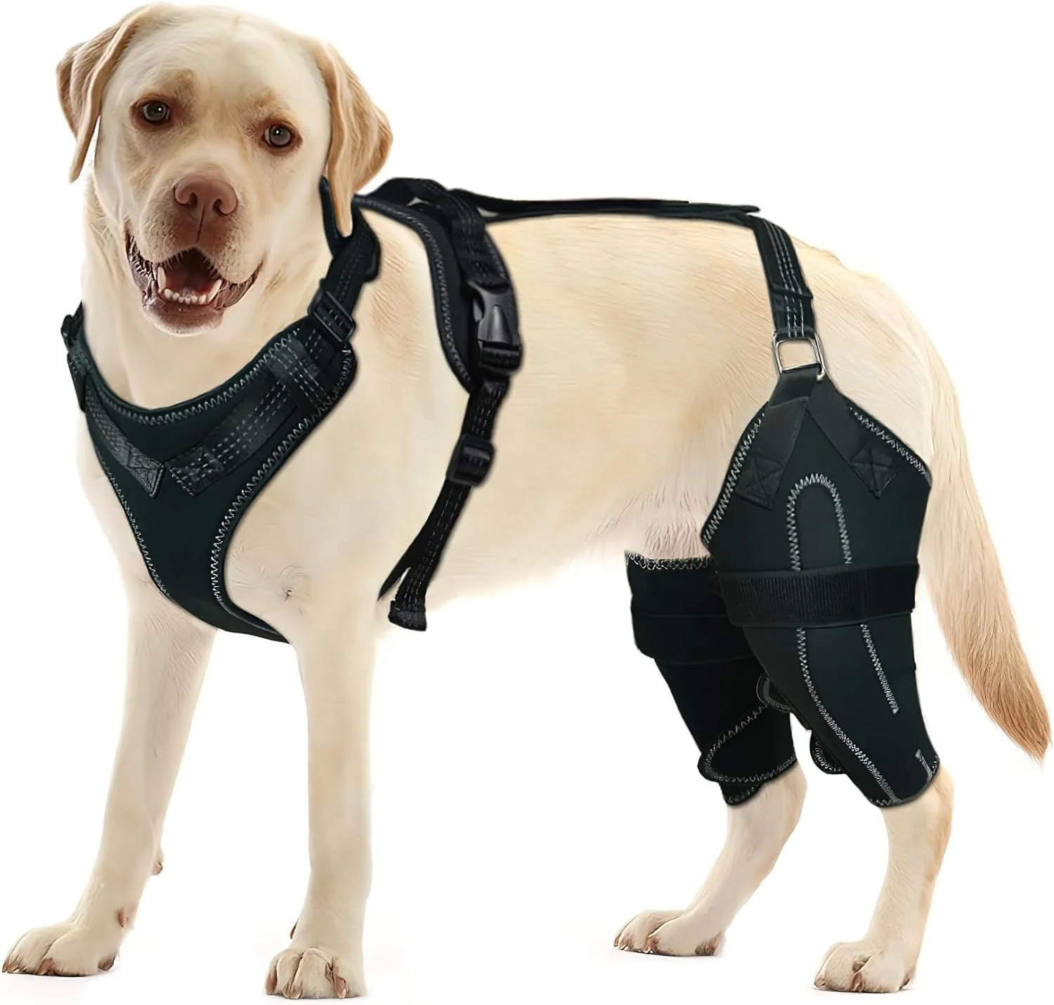 Adjustable Leg Knee Brace Support Strap Dog Leg Sleeve Protector for Recovery Relieves Joint Pain Outdoor Activity