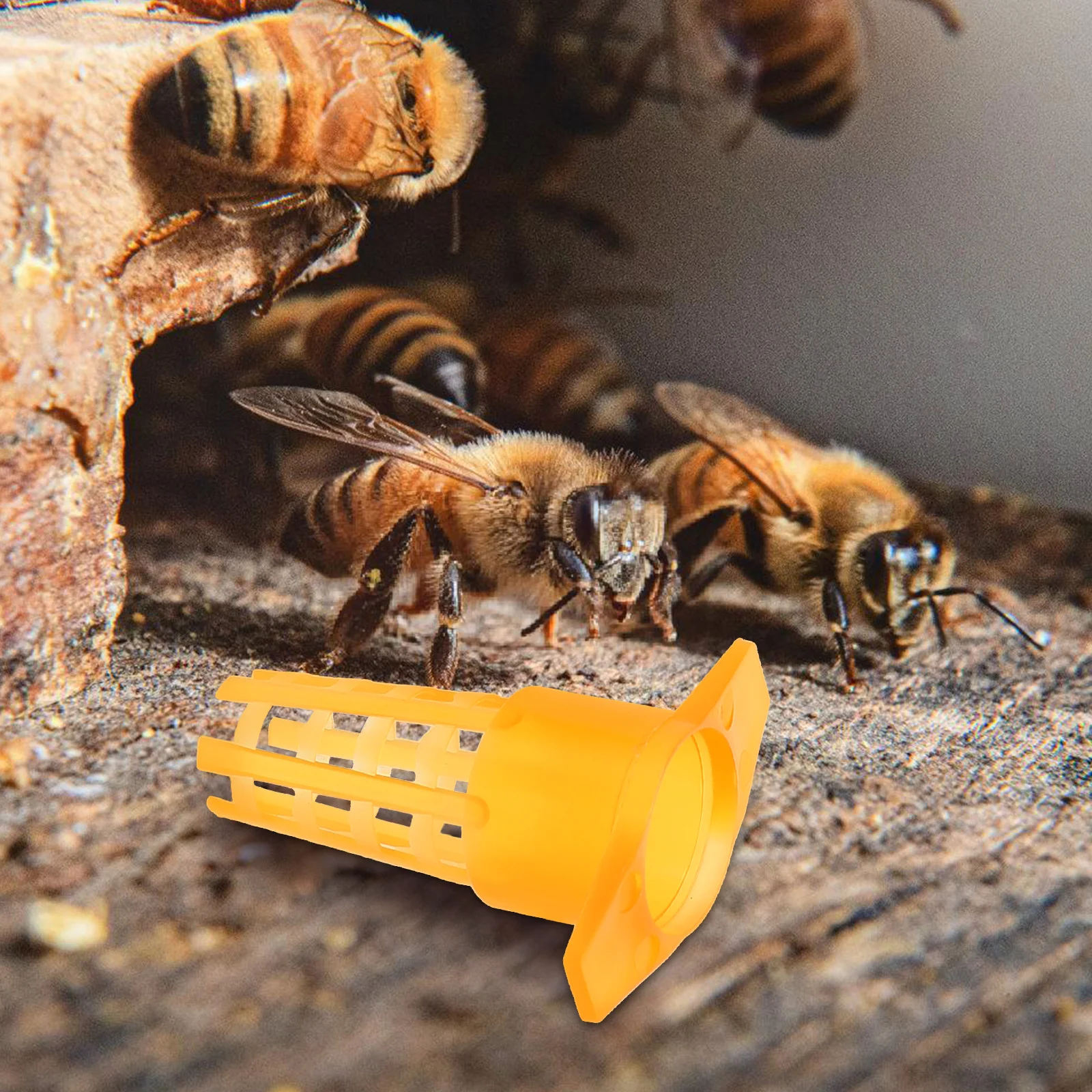 

100Pcs Bee Queen Cage Protector Plastic Protective Cover Beekeeping Tools Apiculture Equipment Cell Cage Protector