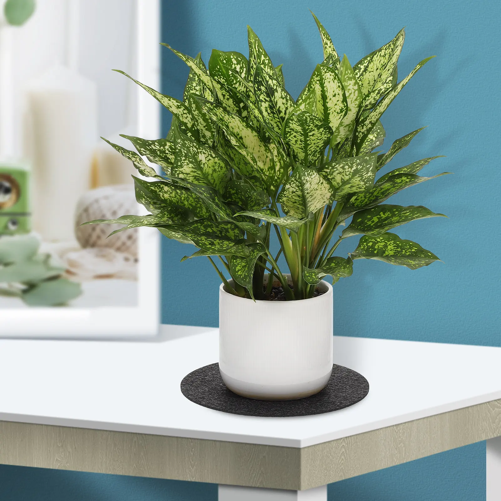 6Pcs Felt Coasters for Plants Round Absorbent Plant Mats Planter Saucers Flower Pot Pads Indoor Outdoor Dual Sided Use