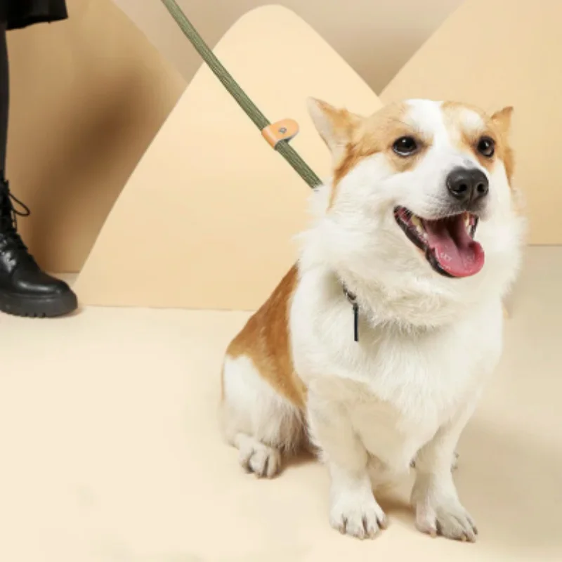 Thumbnail 2 - #55 Latest Dog Leads Offers