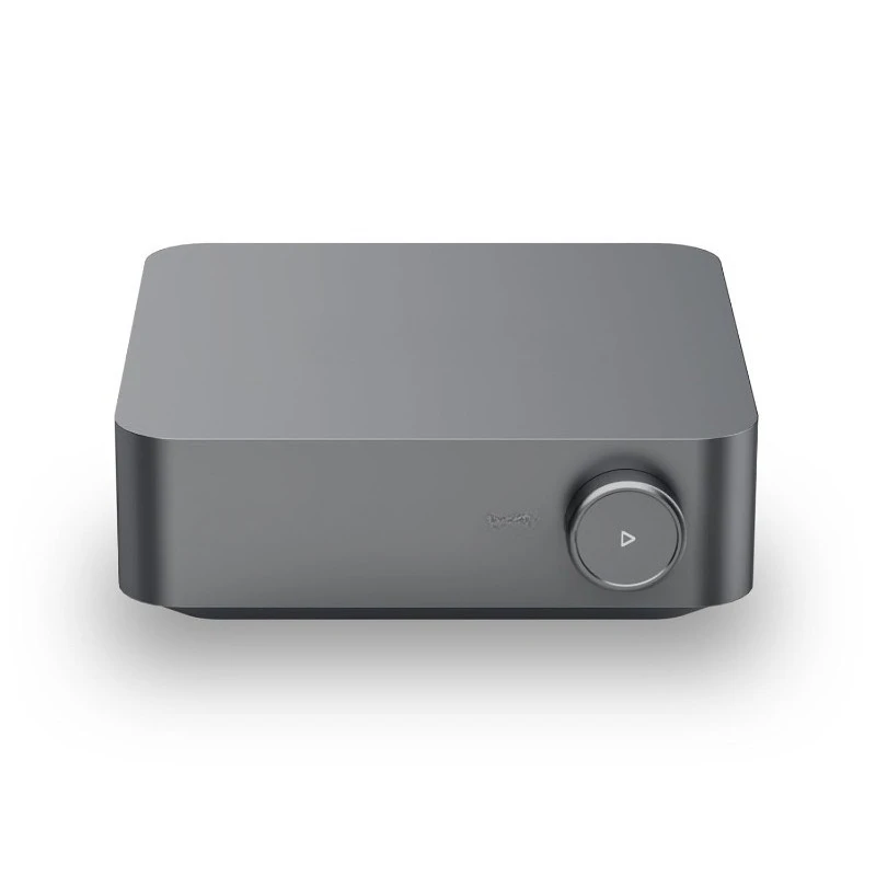 Amp Pro: Amplificatore per streaming multiroom |   Compatibile con Google Cast, Alexa