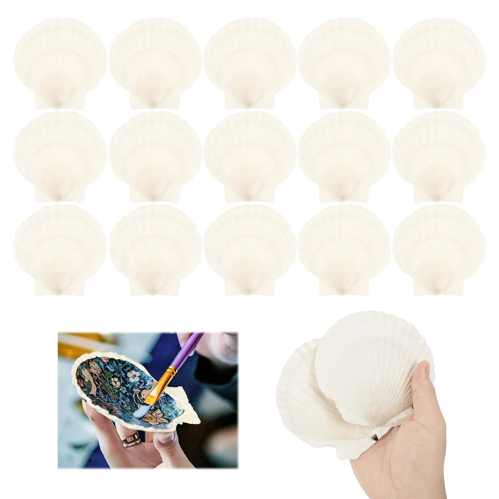 15Pcs Scallop Shells Crafts Large Beach Natural Scallop Shells for Baking Shells Crafts DIY Painting Beaching Wedding Decoration
