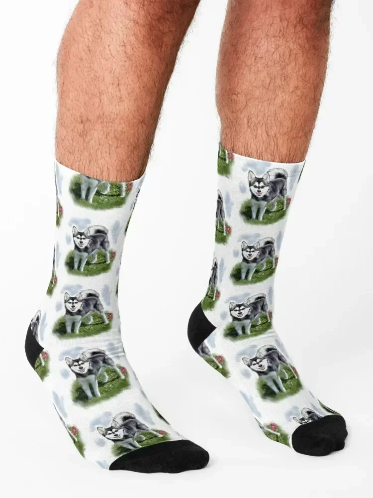 Alaskan Klee Kai Dog Lovers Art Socks cute sheer Rugby Toe sports Socks Woman Men's