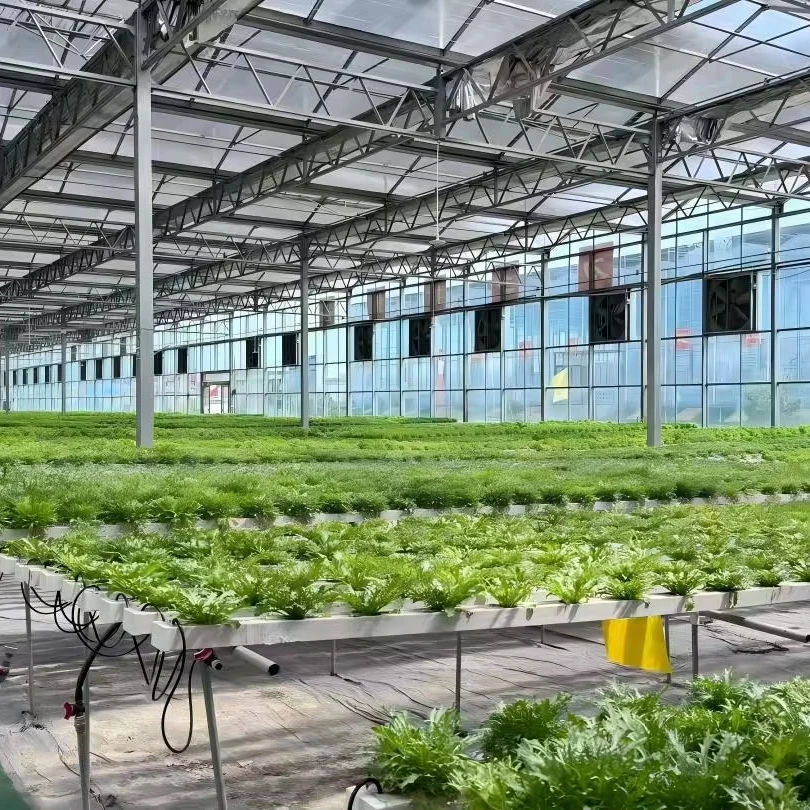 Large Walk-in Invernadero Poly Tunnel Greenhouse for Vegetable Grow Climate Control PE Cover Agricultural Construction Tent