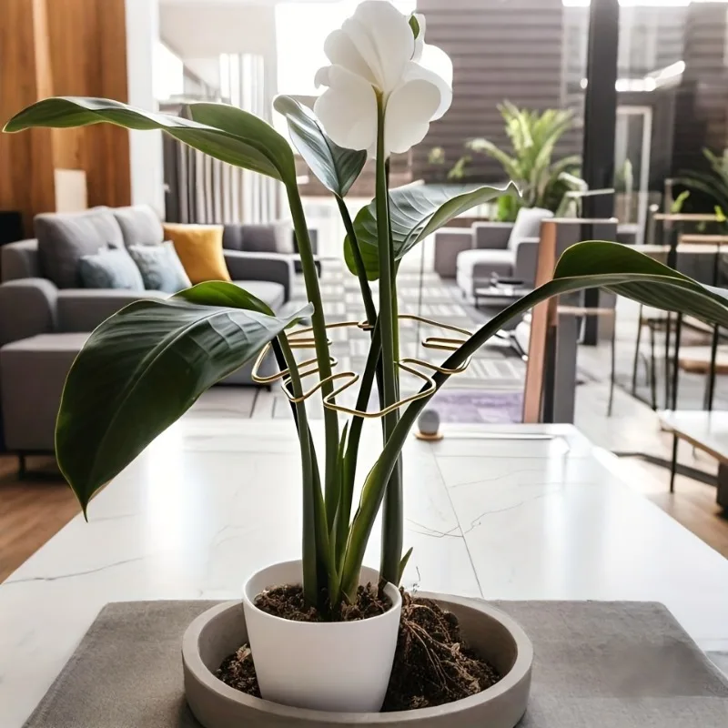 Pflanzenstielstütze, langlebig, Monstera-Stabilisator, Metall-Kletterpflanzentrainer, dekorativer Garten, ideale Pflanzenstütze für Wachstum – Detail 6