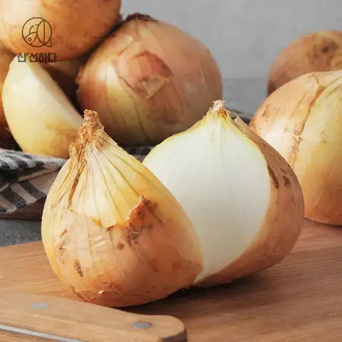아삭한 무안 햇 양파 5kg 소