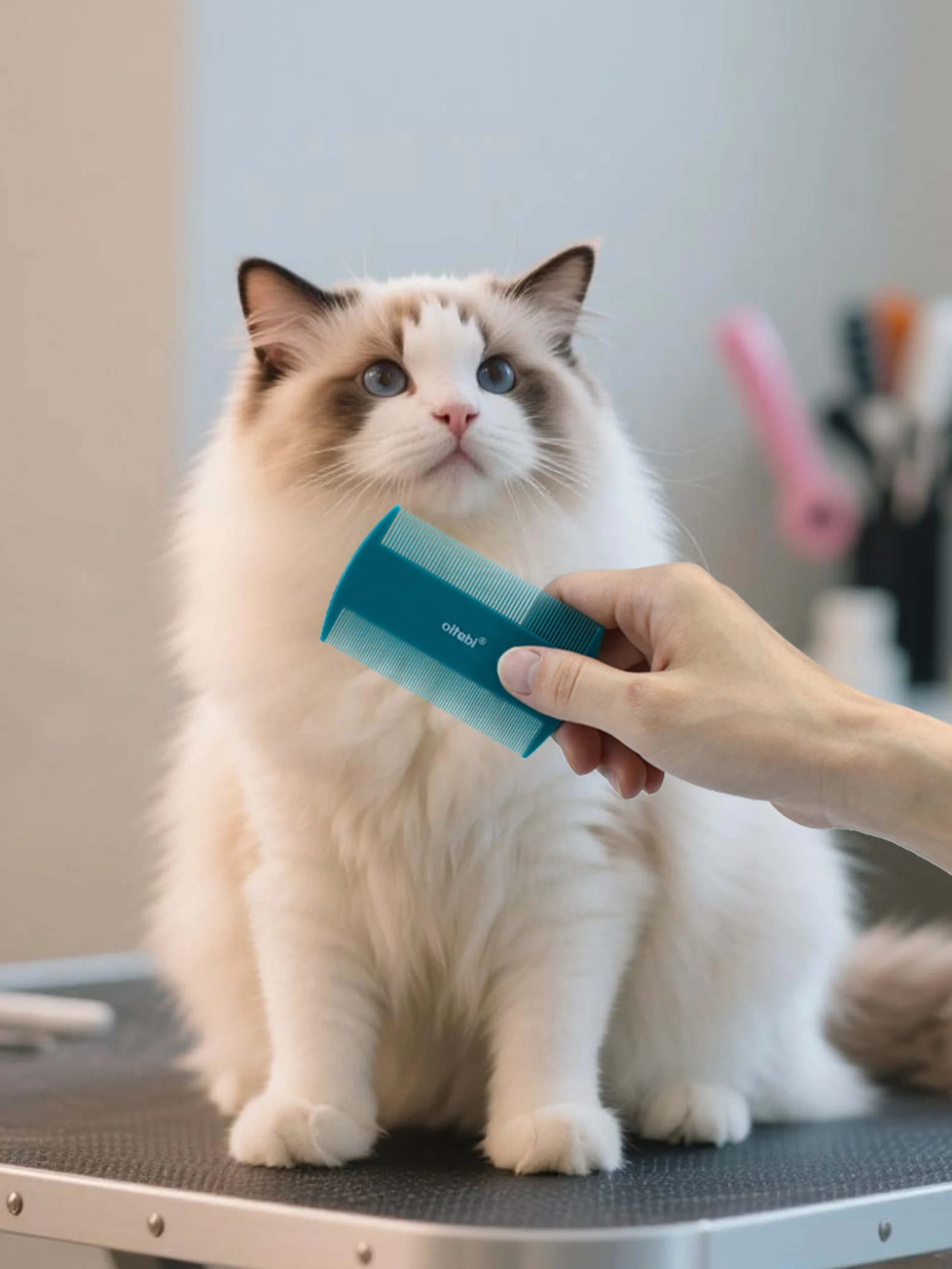 Oitabi Ensemble de 3/4/5/6 peignes de toilettage pour chiens, peignes anti-puces et poux en acier inoxydable pour chats, peigne double face 2-en-1 pour éliminer les taches de larmes chez les chiens