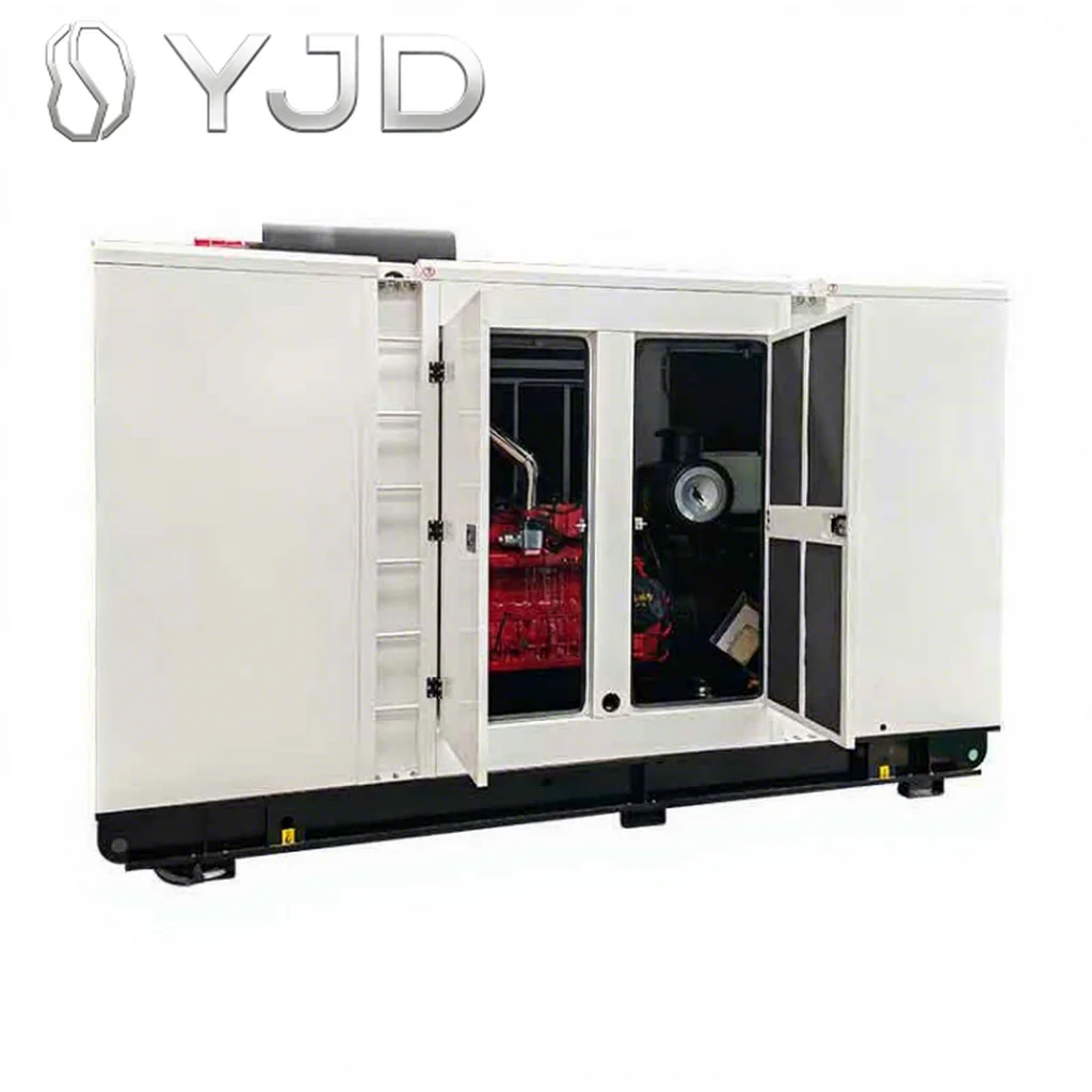 Silent Type Single Phase AC Synchronous Dynamo Silent Frame Options with ATS Feature