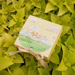 10 pcs 11.5x11.5x5cm guest wedding gift box,  candy, chocolate,  dessert packaging box, baby shower, birthday gift packaging box