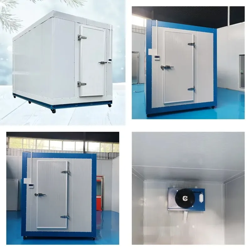 Industrial Refrigerator Storage Cooling System Freezer Unit Walk-in Cooler Meat Storage