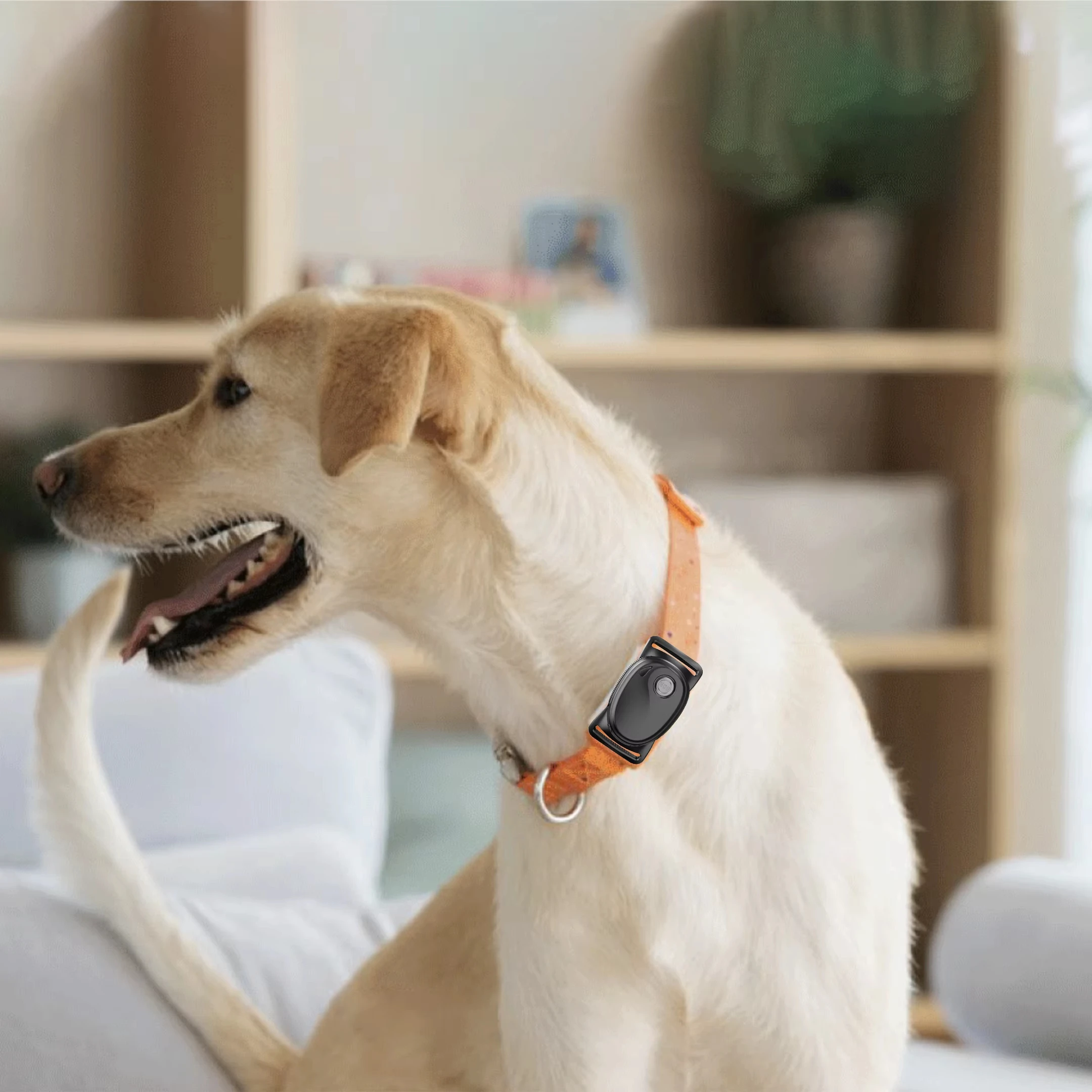 

4G LTE Pet GPS tracker for Dog Tracking with SOS Button for Two-way Communication