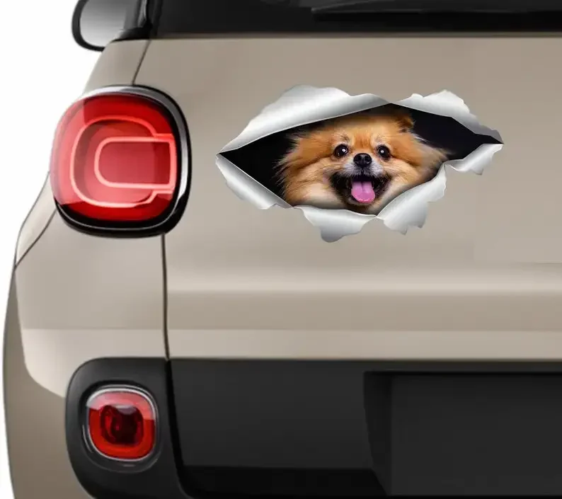 

Pomeranian Decals Dog Stickers Pomeranian Stickers car Stickers Vinyl Decals Pet Sticker Pomeranian Car Decals Animal Sticker