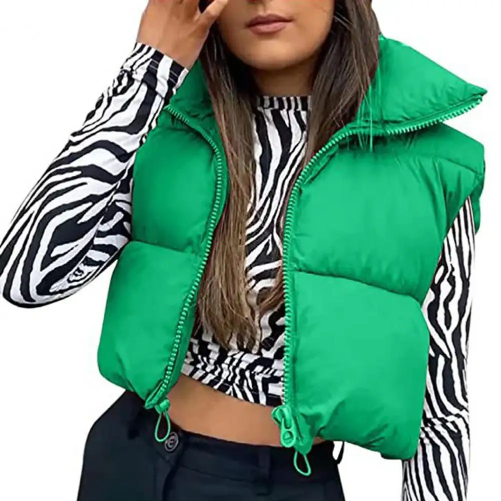 

Fall Winter Warm Cropped Vest Jackets for Women Fashion Sleeveless Stand Collar Zip Up Puffer Waistcoat Street Style Outwear