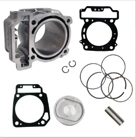 2 sets odes 1000 cylinder kit