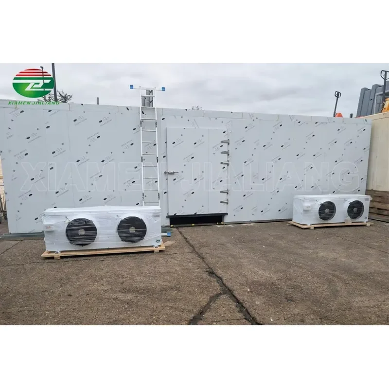 10*10*10ft Walk in Freezer Blast Freezer Room Cold Storage Refrigeration