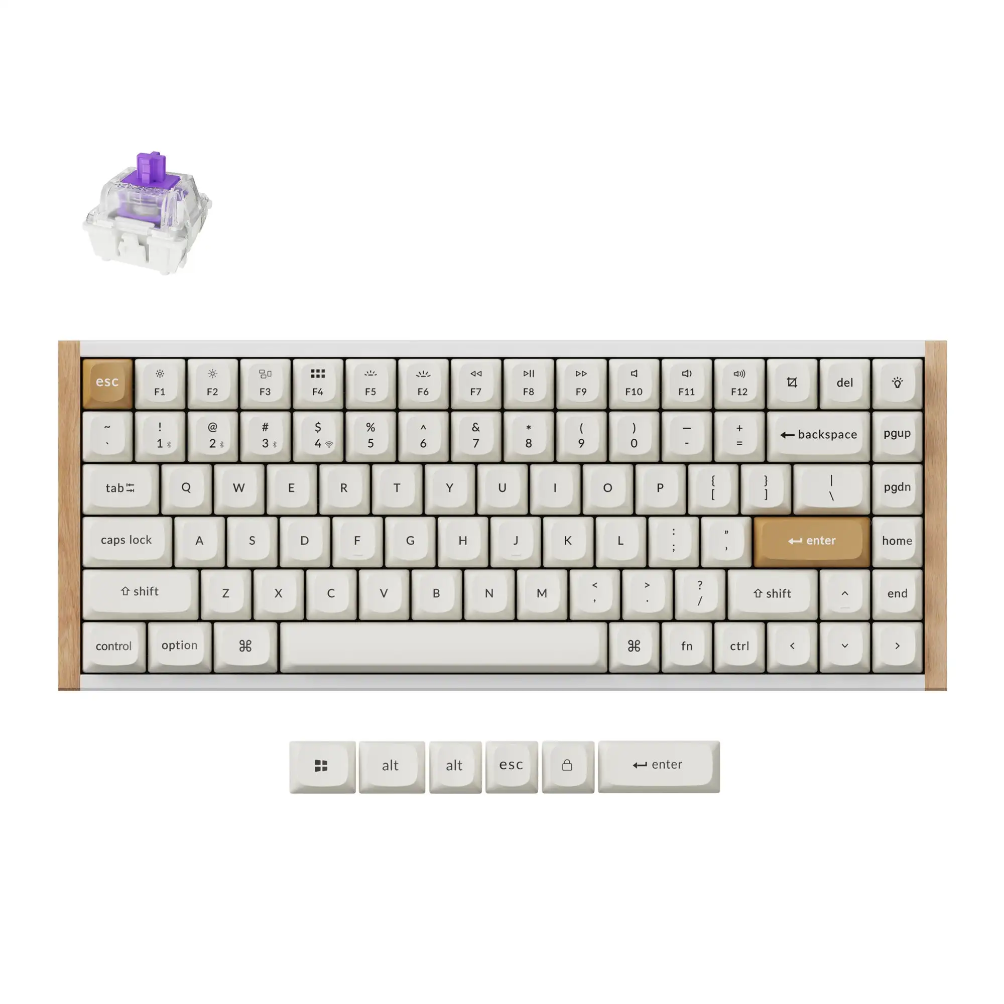 Keychron K2 HE Wireless Magnetic Switch Custom Keyboard Special Edition 75% Layout RGB Backlight Double-Shot PBT Keycap