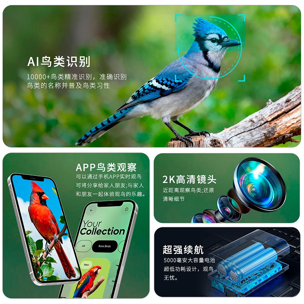 New Smart Bird Feeder 2K-4K Bird ID Outdoor Solar Pet Feeder Fast Delivery