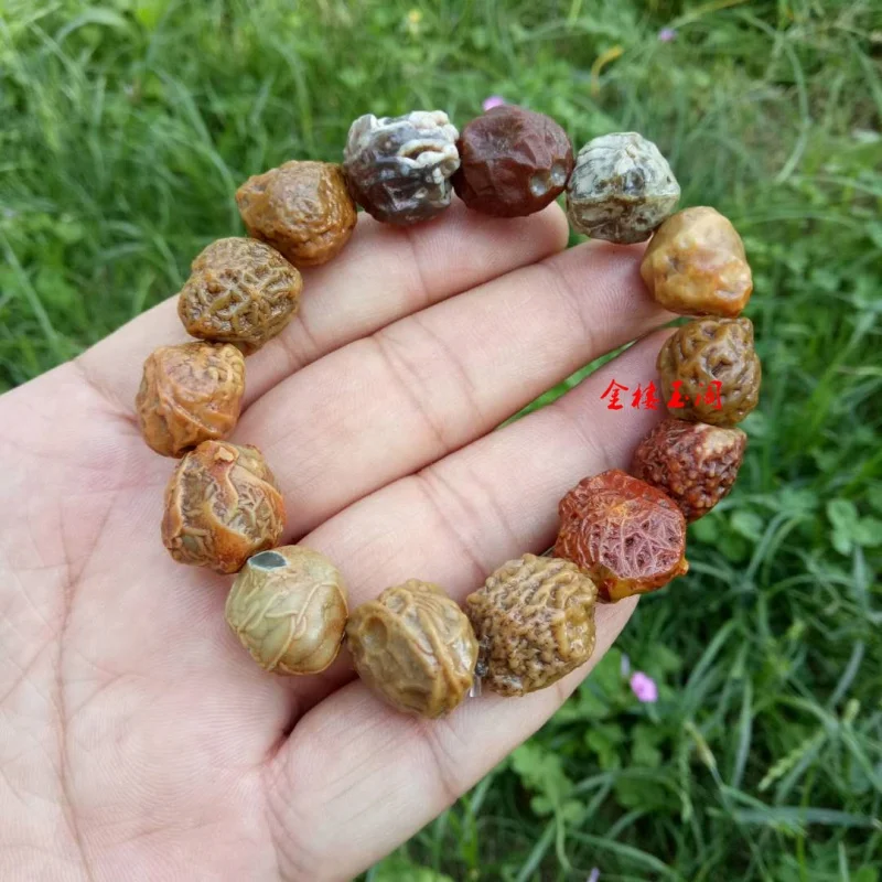 Jewelry Alashan Gobi Material Rough Tendon Stone Sugar Heart Raisin Agate Bracelet Wholesale