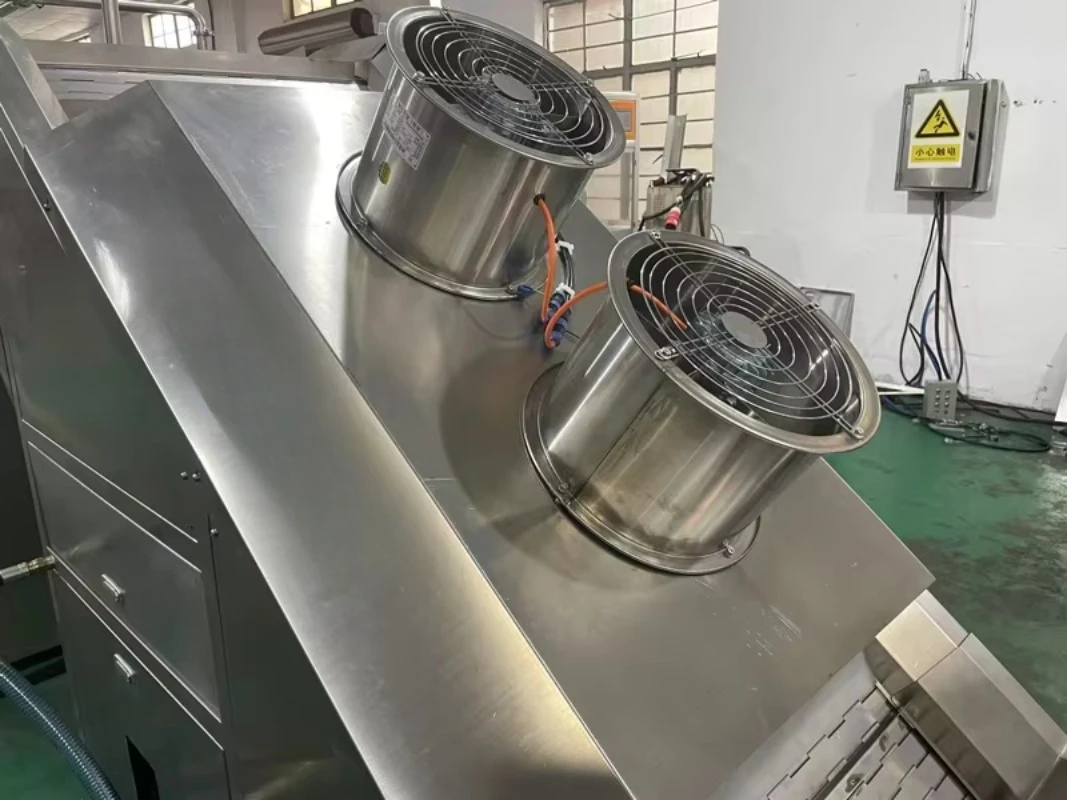 Customized Automatic Popcorn Production Line for Commercial Use with Continuous Heating and Coating System