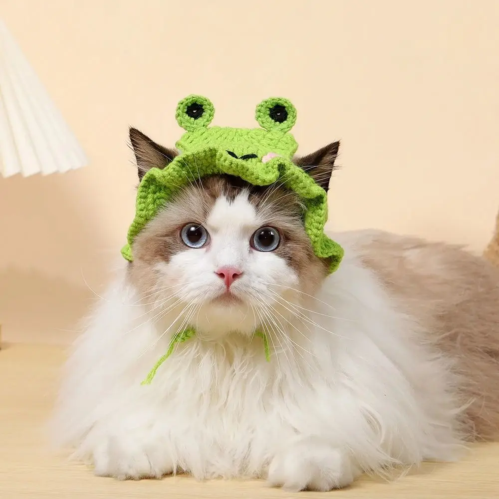 Cute Cat Hat Autumn Winter Elastic Cartoon Puppy Pet Cap Refined Party Kittens Knitted Hat