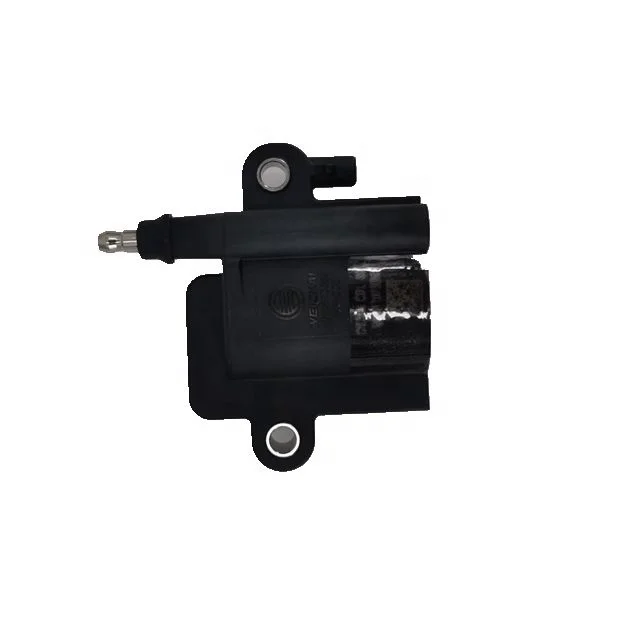 

High Quality Original Natural ga s Engine Ignition Coil 1002570666 for WP13 WP15