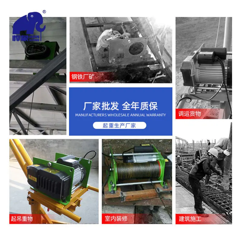 Small Electric Hoist Micro Hoist 1t Home Building Decoration Small Hoist 220V German Hoist