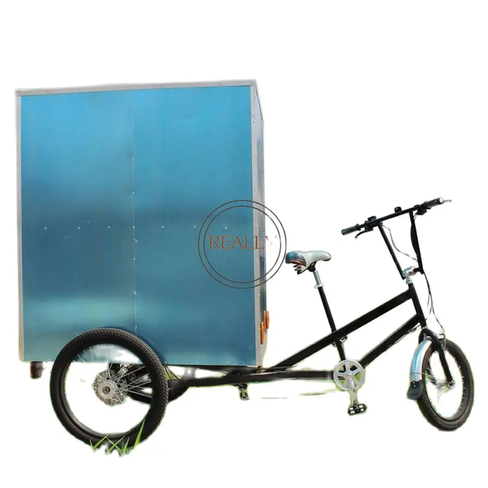 Popular Motorized Tricycles  Pedal Assisted   Electric Tricycle Cargo 3 Wheel Bike Adult  For The Transportation Of Goods