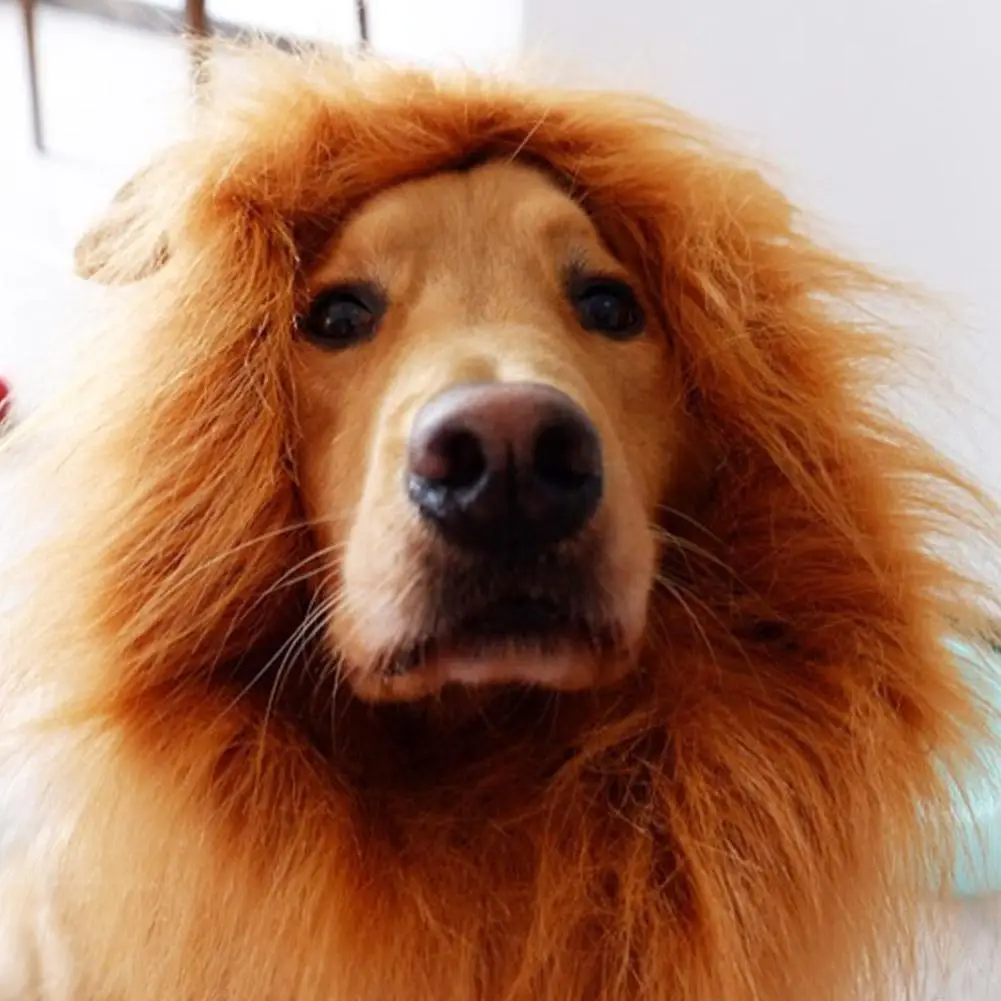 Pet Wig Headpiece Funny Lion Head Cap Halloween Dog Wig Funny Pet Costume Holiday Cosplay Lion King Atmosphere Pet Toy Cute