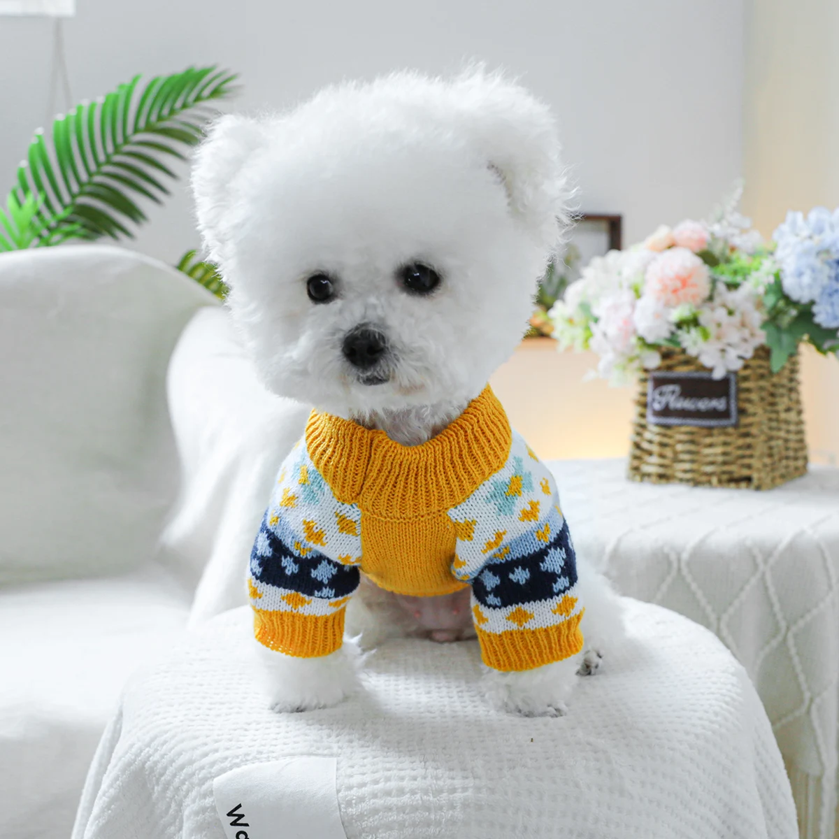 1PC pet clothing dogs spring and autumn pullover, stretch Jurassic sweater suitable for small and medium -sized dogs