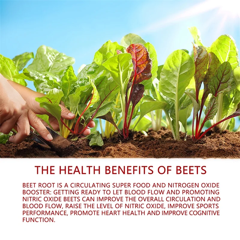 Beet Root - Improve Athletic Performance, Boost Blood Circulation, and Support Digestive Health