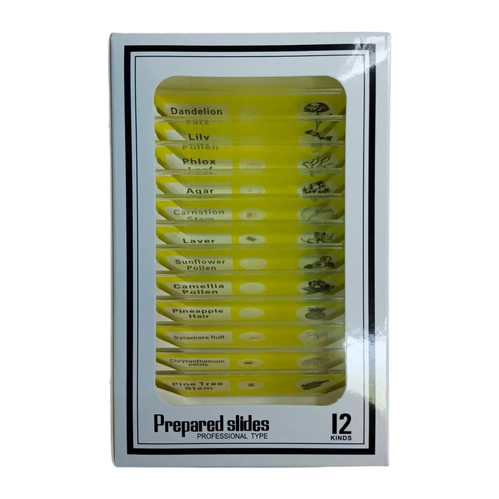 Kits científicos para crianças, lâminas de microbiologia preparadas, desenvolvimento de habilidades cognitivas, sala de aula, casa, aprendizagem precoce