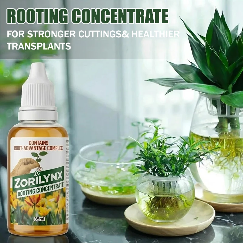 Effective Plant Rooting Enhancer Concentrate Promotes Healthy Growth for Stem Cuttings Easy Garden Plant Care - ZORILYNX