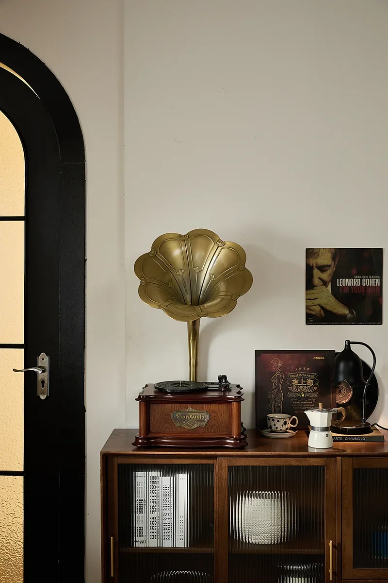 Multifunctional Classic Radio Gramophone  Vinyl Record Player with Alloy Horn
